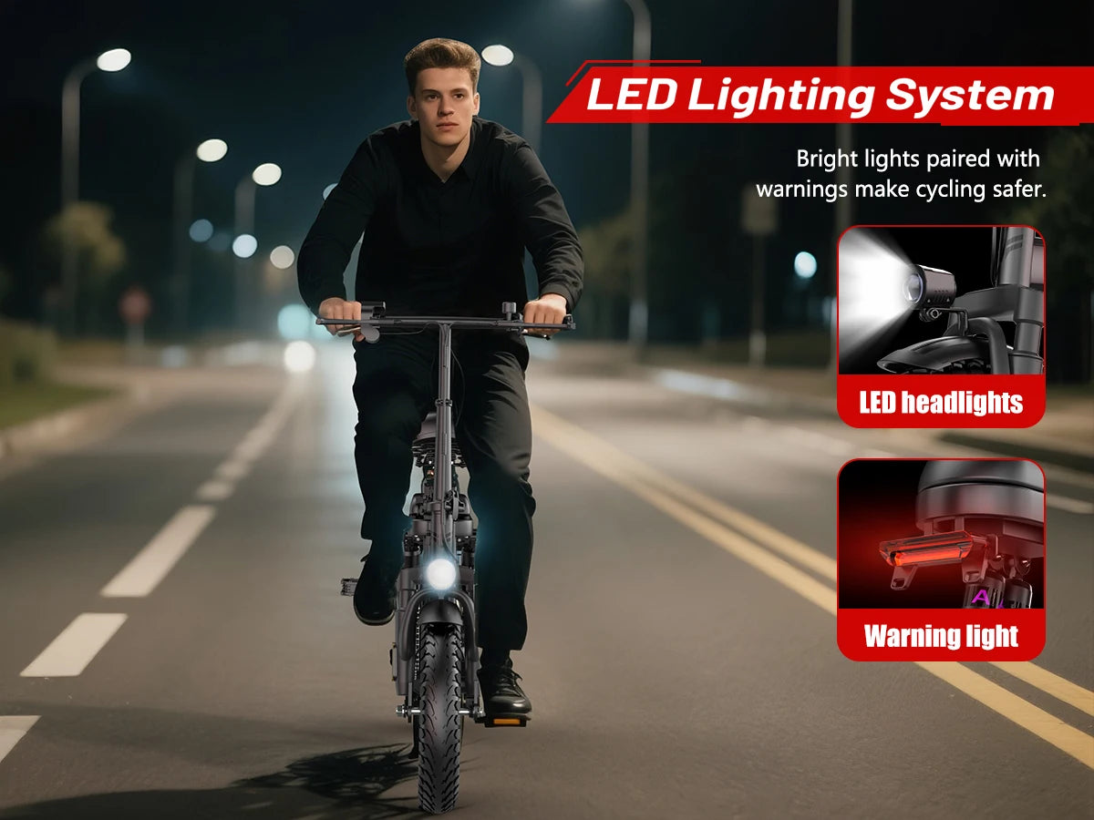 Folding Adult 500 Watt Electric Bike with 48V 15AH Removable Battery