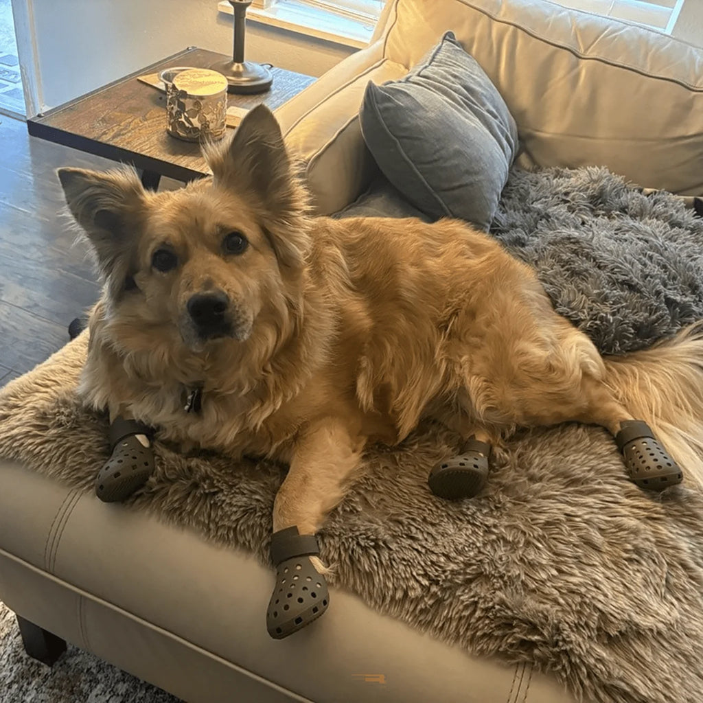 All Season Dog Paw Shoes