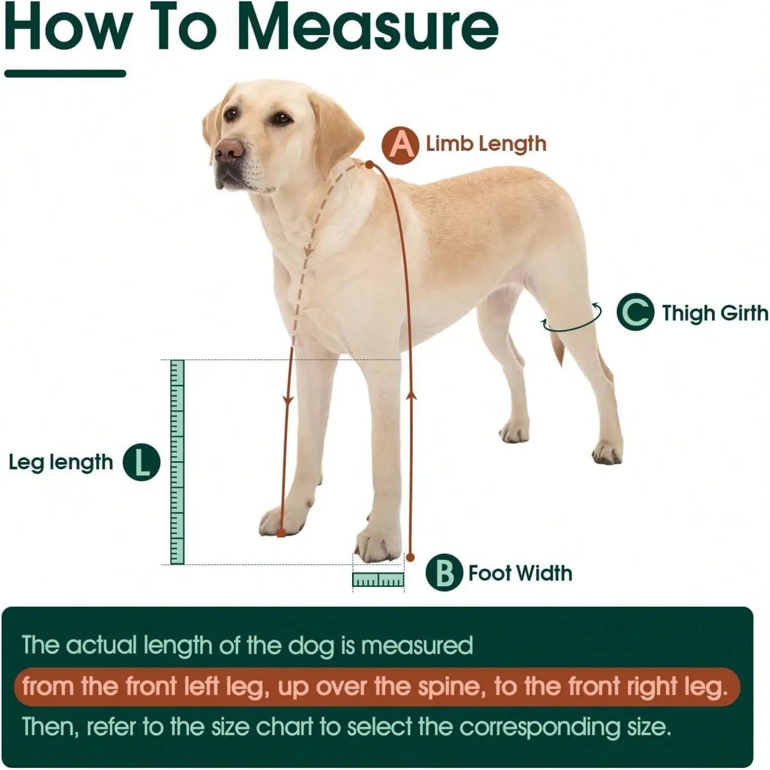 Adjustable Dog Suspender Boots Waterproof For All Size Dogs