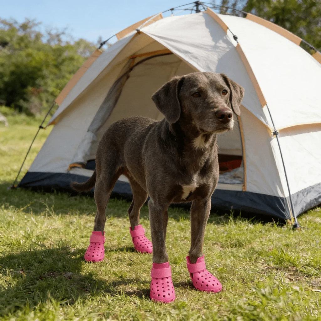 All Season Dog Paw Shoes