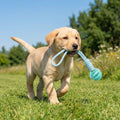 Cotton Rope & Rubber Dog Chew Ball