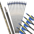 Carbon Arrows 32 Inch