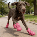 All Season Dog Paw Shoes