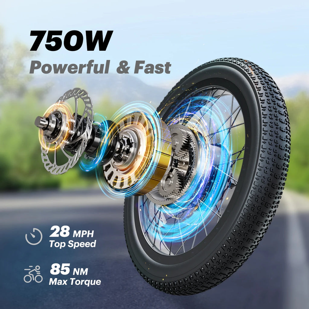 Folding 1000W Motor 48V15.6AH Lithium Battery Hydraulic Brake 20*3.0 Inch Fat Tire