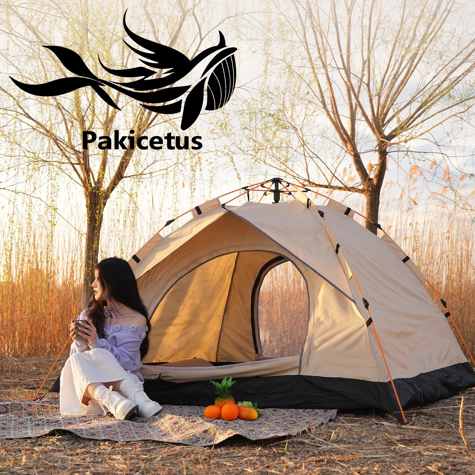 2-4 Person Lightweight Camping Windproof Tents