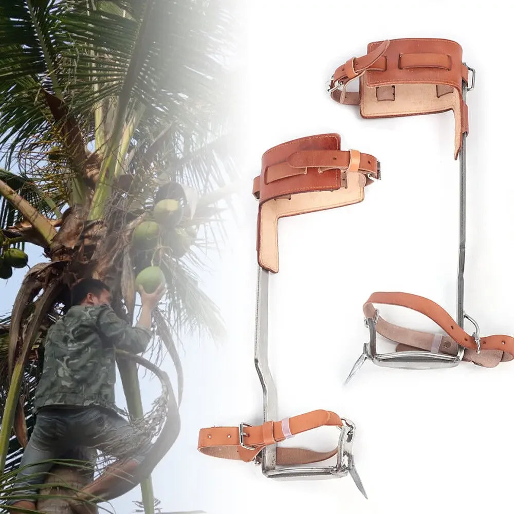 Stainless Steel Tree Climbing Spikes Gaffs Spur Pair Set with 2x Ankle Straps