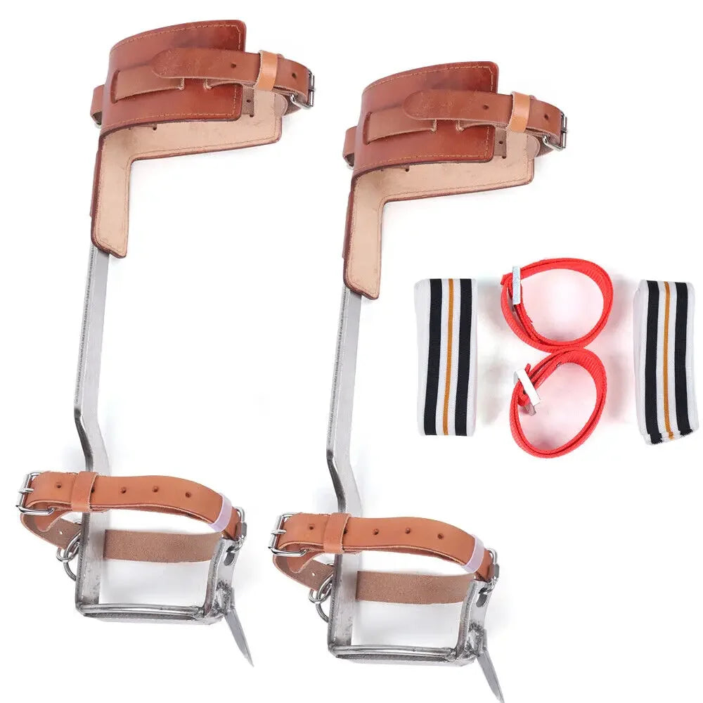 Stainless Steel Tree Climbing Spikes Gaffs Spur Pair Set with 2x Ankle Straps