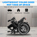 20 MPH,560W Motor,48V Removable Battery,14inch Folding Adult Electric Bike