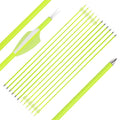 30" Archery Carbon Arrows Practice Competition Compound, Recurve, or Longbow