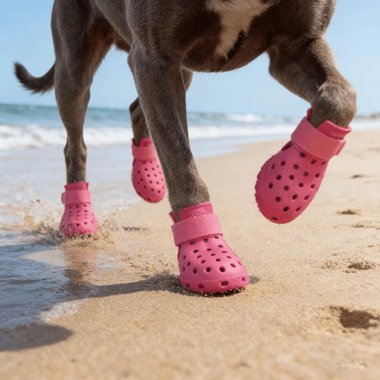 All Season Dog Paw Shoes